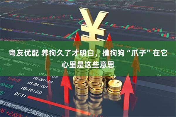 粤友优配 养狗久了才明白，摸狗狗“爪子”在它心里是这些意思