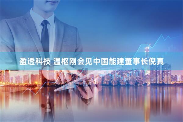 盈透科技 温枢刚会见中国能建董事长倪真