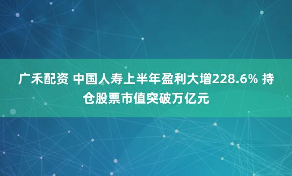 广禾配资 中国人寿上半年盈利大增228.6% 持仓股票市值突破万亿元